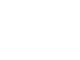 logo_dev-x